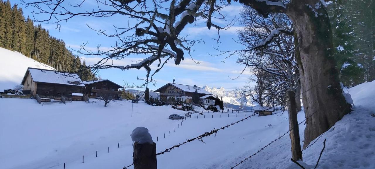 Michis Aparthotel Flachau Bagian luar foto
